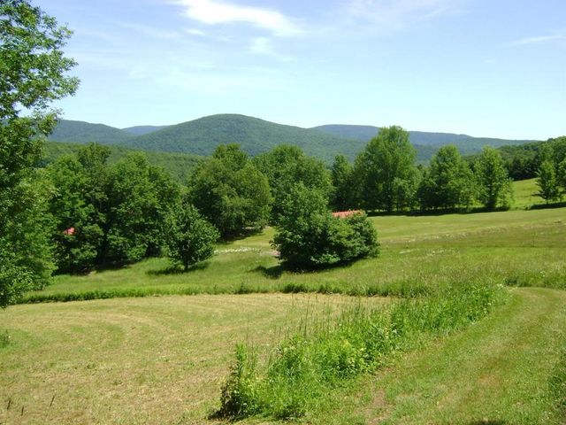 1187 Lower Meeker Hollow Road, Roxbury, NY 12474