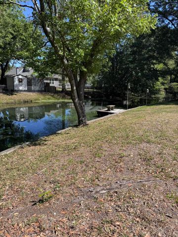 686 Pelzer Drive, Mount Pleasant, SC 29464