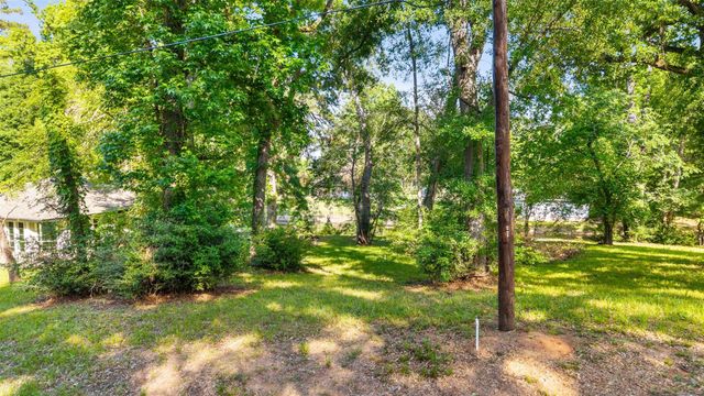 TBD Governer Wood Drive, Point Blank, TX 77364