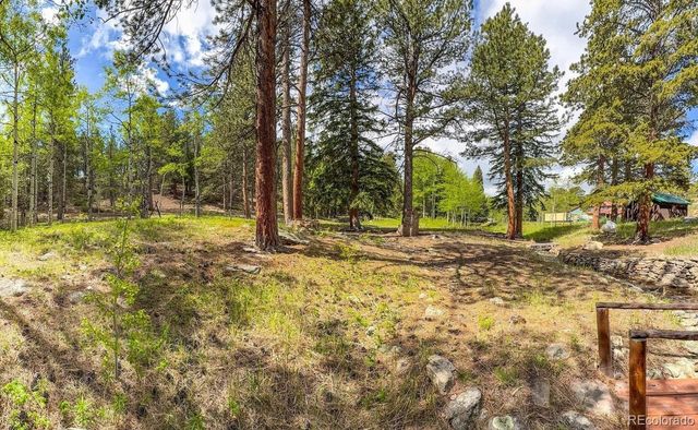 412 Highway 7 Business, Allenspark, CO 80510