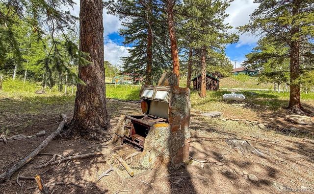 412 Highway 7 Business, Allenspark, CO 80510