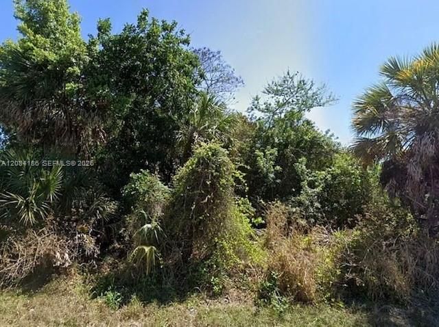 517 Fairview Avenue, Port Charlotte, FL 33952