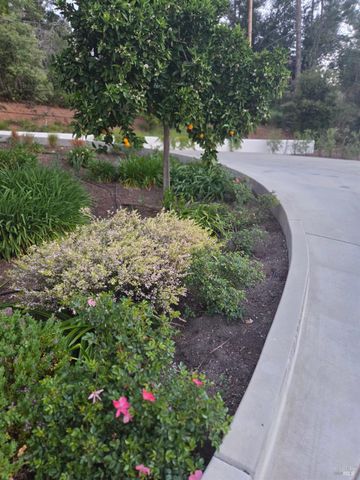 460 Bella Vista Dr, Angwin, CA 94508