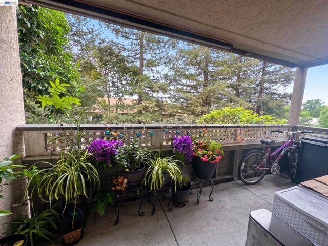 29599 Vanderbilt St 204, Hayward, CA 94544