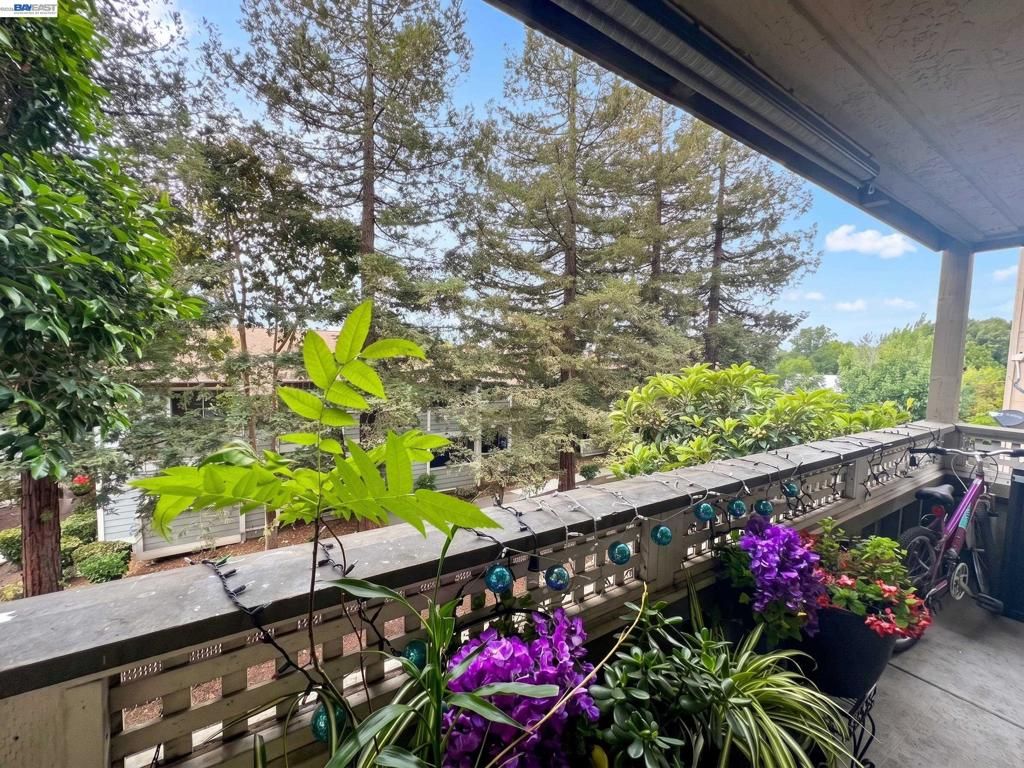 29599 Vanderbilt St 204, Hayward, CA 94544