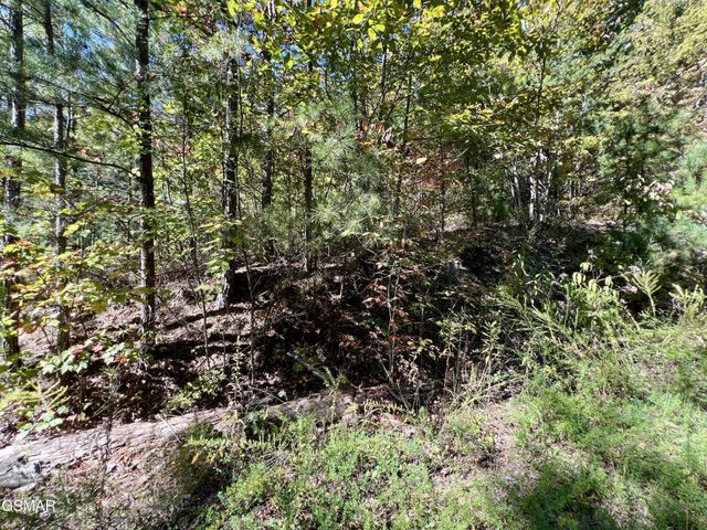 561 Creek Hollow Way, Sevierville, TN 37876