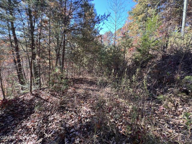 561 Creek Hollow Way, Sevierville, TN 37876