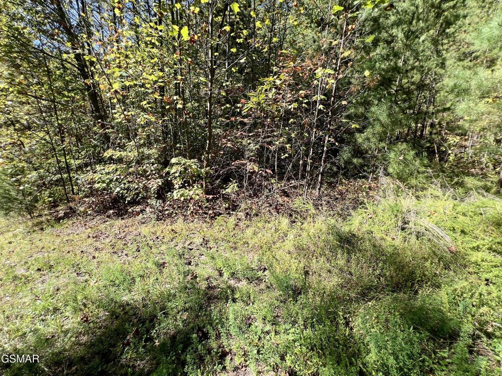 561 Creek Hollow Way, Sevierville, TN 37876