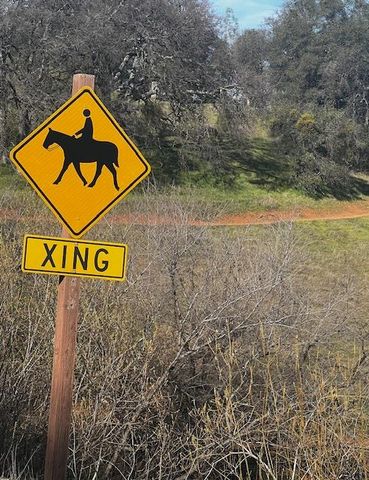 2073 Maydress Ct, Cool, CA 95614