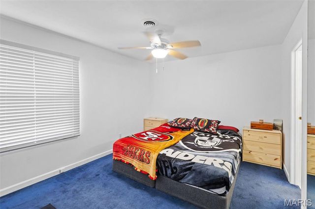 91 Arabelle Drive, Belleville, IL 62220