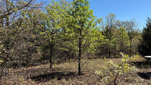 25591 Blackjack Lane, Macomb, OK 74852
