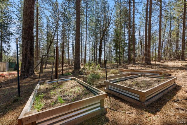 8207 Harrington Flat, Kelseyville, CA 95451