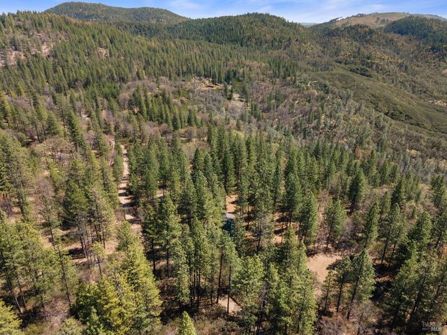 8207 Harrington Flat, Kelseyville, CA 95451