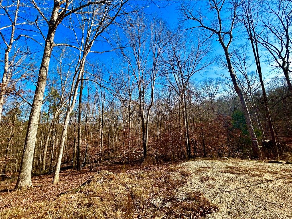 00 Sutton Cove Court, Westminster, SC 29693