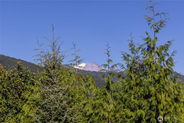 31724 31728 558th Street E, Ashford, WA 98304