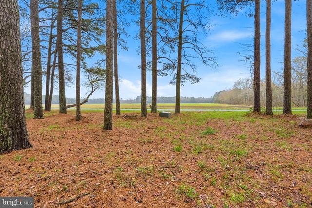 8434 HURLEYS NECK RD, Mardela Springs, MD 21837