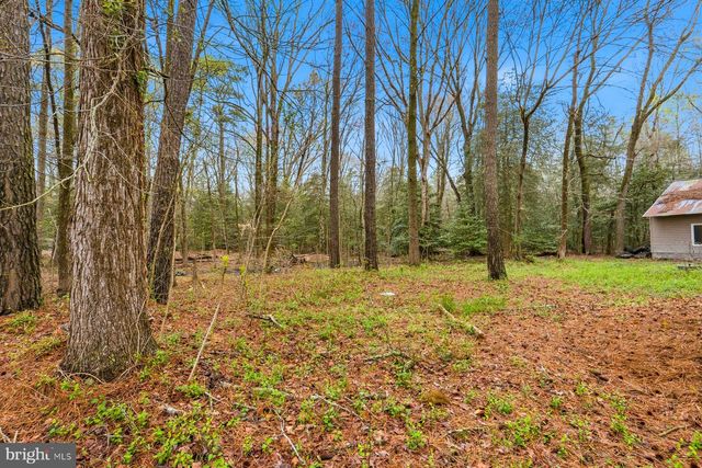 8434 HURLEYS NECK RD, Mardela Springs, MD 21837
