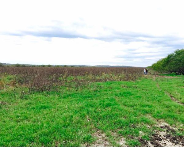 16001 Richards DR, Del Valle, TX 78617