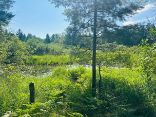 Lot 39 Ausable River Trail, Roscommon, MI 48653