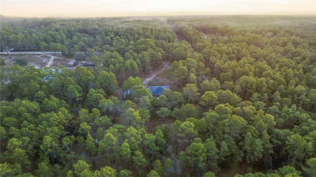 12028 S PINE OAK TERRACE, Floral City, FL 34436