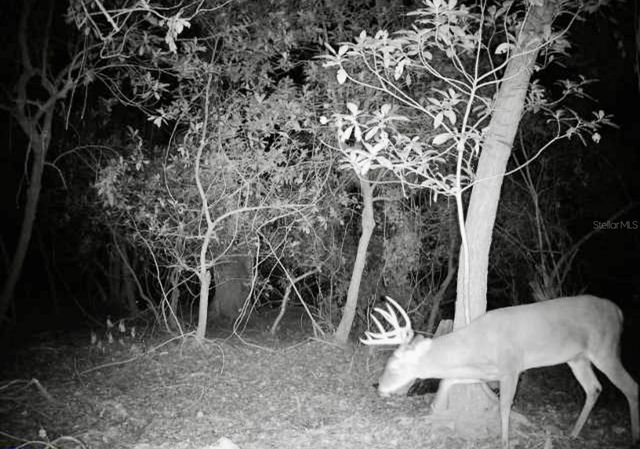 4125 TIGER CREEK TRL, Lake Wales, FL 33898