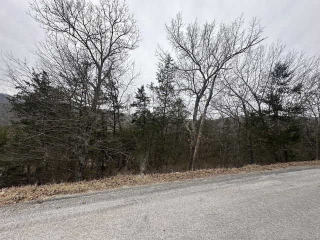 351 Pine Woods Village Drive, Lot 4, Hollister, MO 65672
