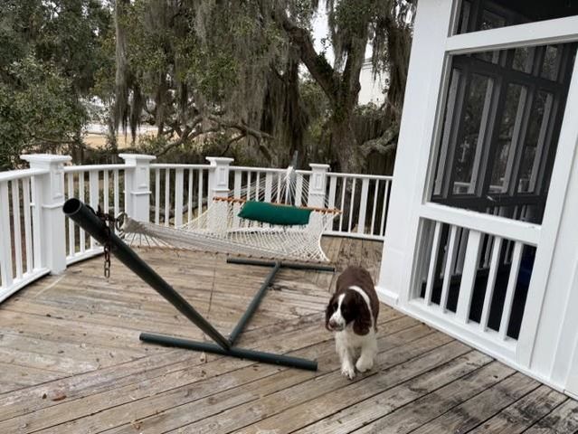 110 Swan Point Trail, Georgetown, SC 29440