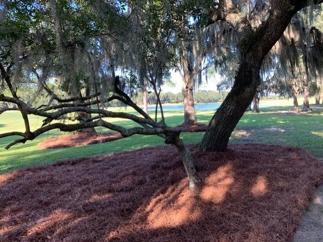 110 Swan Point Trail, Georgetown, SC 29440