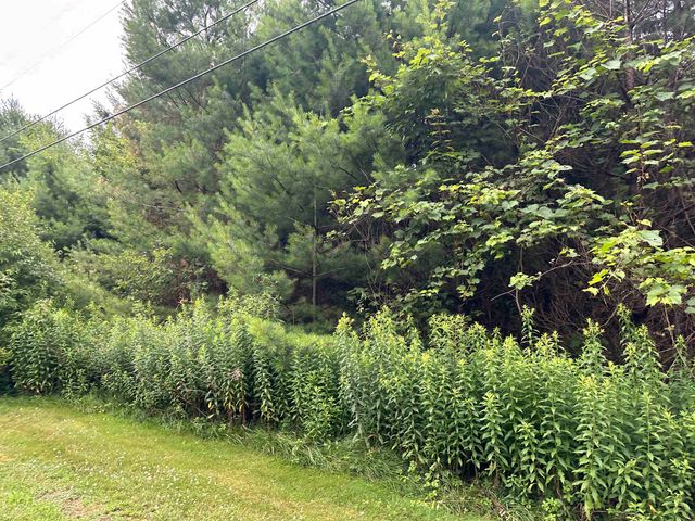 9 Rydon Acres, Brandon, VT 05753