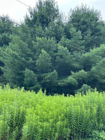 9 Rydon Acres, Brandon, VT 05753