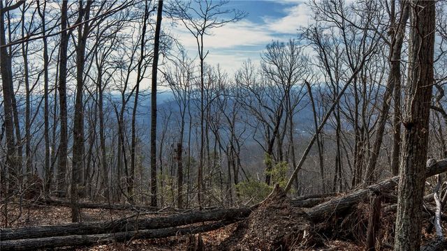 146 Glassy Falls Trail, Travelers Rest, SC 29690