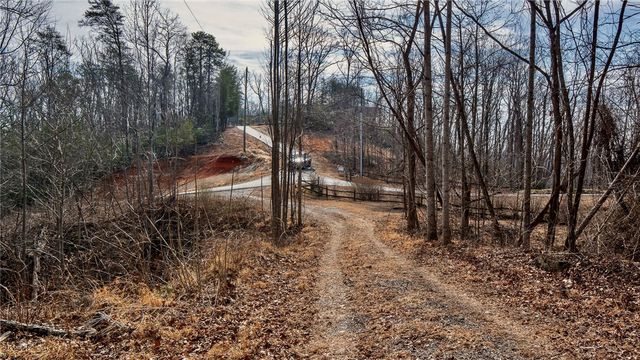 146 Glassy Falls Trail, Travelers Rest, SC 29690