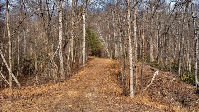 146 Glassy Falls Trail, Travelers Rest, SC 29690