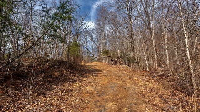 146 Glassy Falls Trail, Travelers Rest, SC 29690