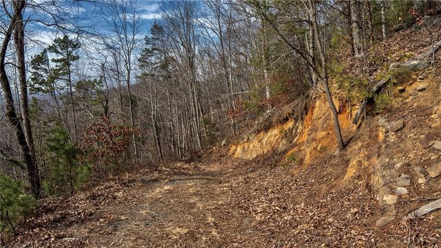 146 Glassy Falls Trail, Travelers Rest, SC 29690