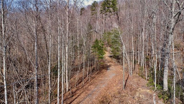 146 Glassy Falls Trail, Travelers Rest, SC 29690