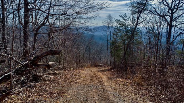 146 Glassy Falls Trail, Travelers Rest, SC 29690