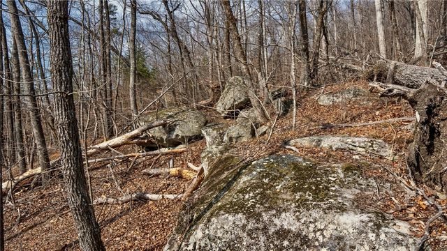 146 Glassy Falls Trail, Travelers Rest, SC 29690