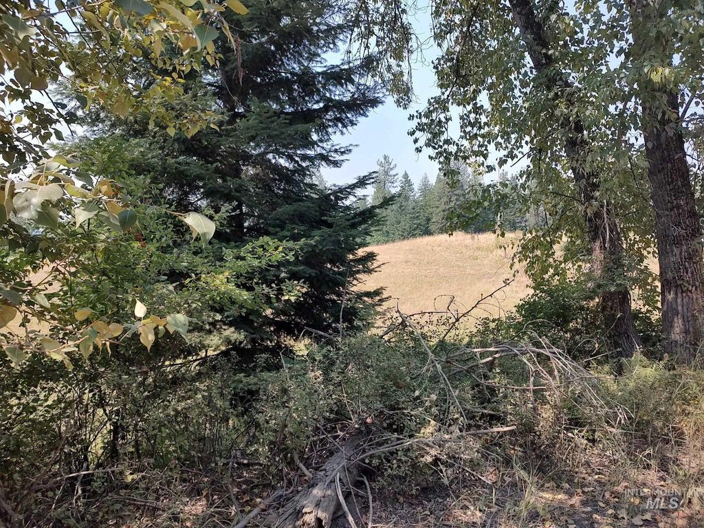 000 Clear Creek 3 Ac, Kooskia, ID 83539 photo 3