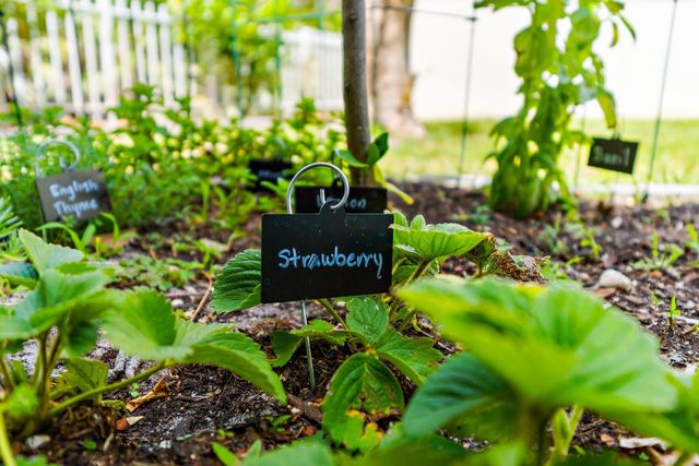 5263 SE Sweetbrier Terrace, Hobe Sound, FL 33455