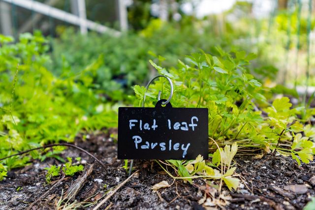 5263 SE Sweetbrier Terrace, Hobe Sound, FL 33455