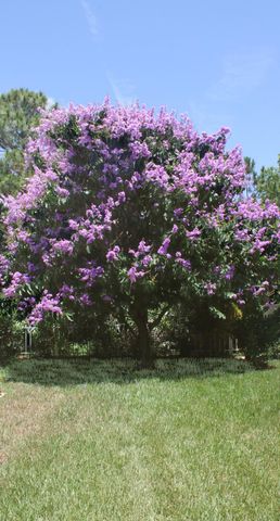 5263 SE Sweetbrier Terrace, Hobe Sound, FL 33455