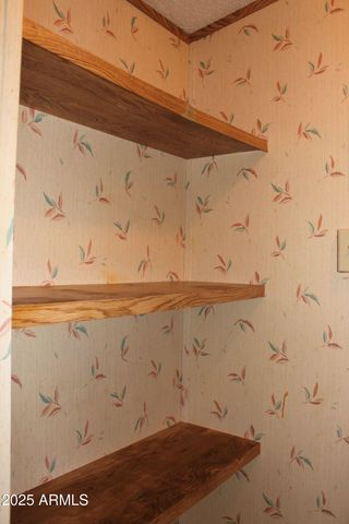 6217 S NATOMA Trail, Hereford, AZ 85615