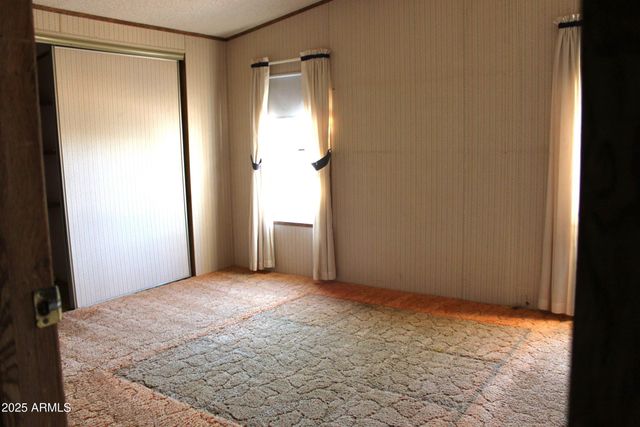 6217 S NATOMA Trail, Hereford, AZ 85615