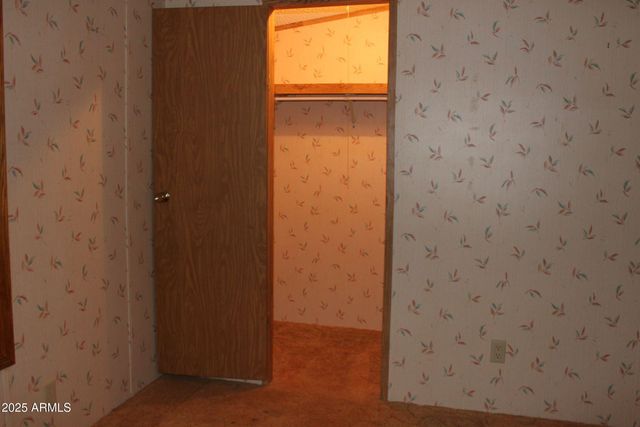 6217 S NATOMA Trail, Hereford, AZ 85615