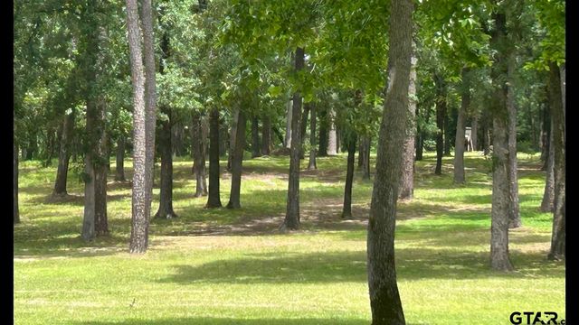 1719 FM 3052N, Troup, TX 75789
