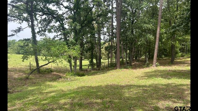 1719 FM 3052N, Troup, TX 75789