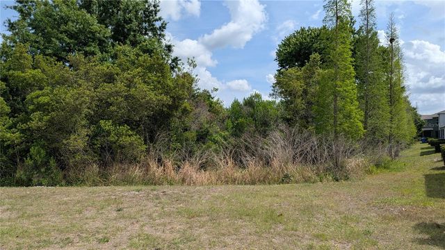 6934 BREEZY PALM DRIVE, Riverview, FL 33578
