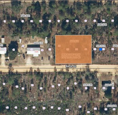 0 Birch St, Interlachen, FL 32148