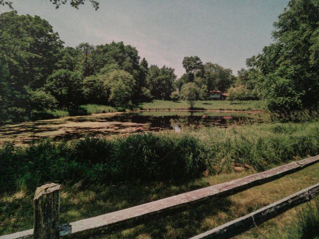 8538 Washington Street, Downers Grove, IL 60516